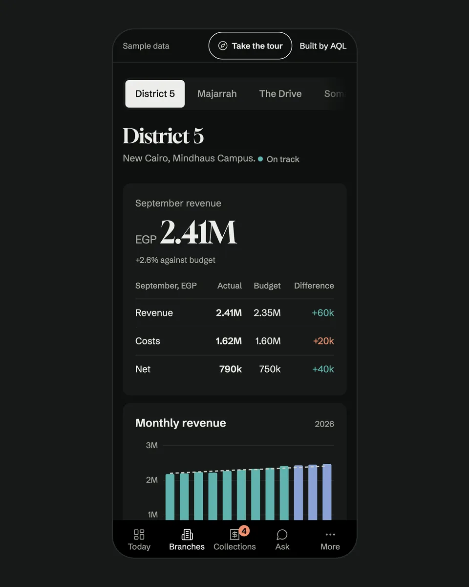 Kamelizer Pulse branch view on a phone with a budget table and monthly revenue bars